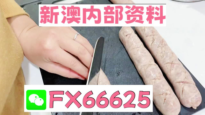 新澳精准资料免费提供网,动态解读说明_W38.452