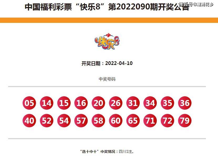 新澳天天开奖资料大全,综合分析解释定义_复刻款62.517